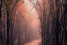 巅峰国际:自研系统助力亚冬会短道速滑央视体育.