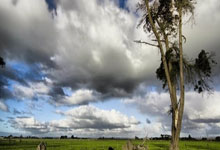 杜兰特彻底失望,不是102-132惨败凯尔特人这么简单,还因为.