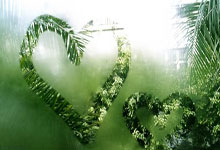 赛前踩场,国脚徐皓阳晒满是利雅得胜利元素的体育场外部照片.