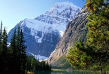 国足澳大利亚首发身价:国足557.5万欧,澳大利亚1145万欧.