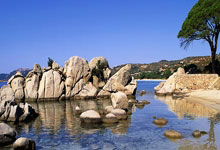 2025年国际篮联U19男篮世界杯小组抽签结果出炉.